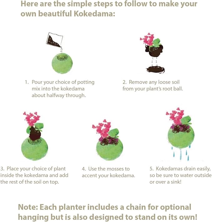SuperMoss (29346) Kokedama Planter, 4", Fresh Green