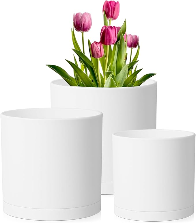 Meowell 8/7/6 inch Plant Pots, Set of 3 Cylinder Flower Pots for Outdoor Indoor Plants, Decorative Plastic Planters with Drainage Holes and Saucers for Garden House Plants, White
