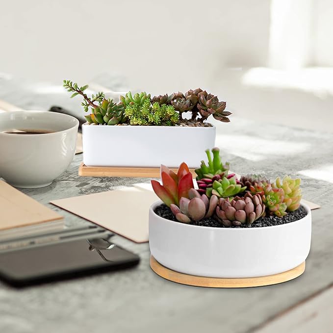 ARVINKEY White Ceramic Succulent Plant Pots, 1 Rectangular Flower Pot + 1 Round Planter, Set of 2 Small Cactus Container, Bonsai Pots, Succulent Pots with Drainage Hole& Bamboo Tray (No Plant)
