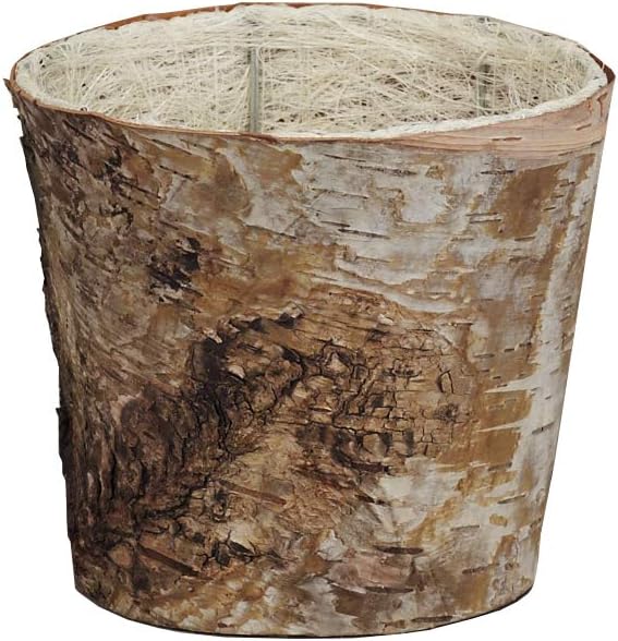 Napco Enchanted Flora - Birch Bark Wood Planter/Cache Pot with Liner, Small