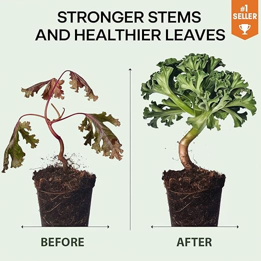 𝐏𝐑𝐄𝐌𝐈𝐔𝐌 Liquid Silica Plant Supplement - 8oz (250mL) - Green Beans Plants Liquid Silica Boost Fertilizer - Stronger Stems & Healthy Leaves for Indoor & Outdoor Green Beans (Makes 45 Gallons)