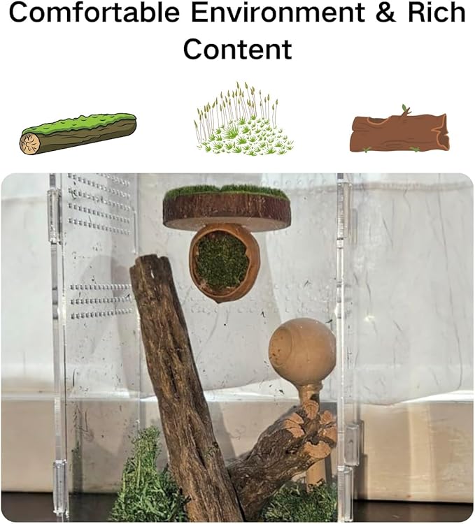 Jumping Spider Enclosure Accessories, Pumpkin Decor Hideout and Platform, Habitat Hide House for Spiders - Small Pets Furniture
