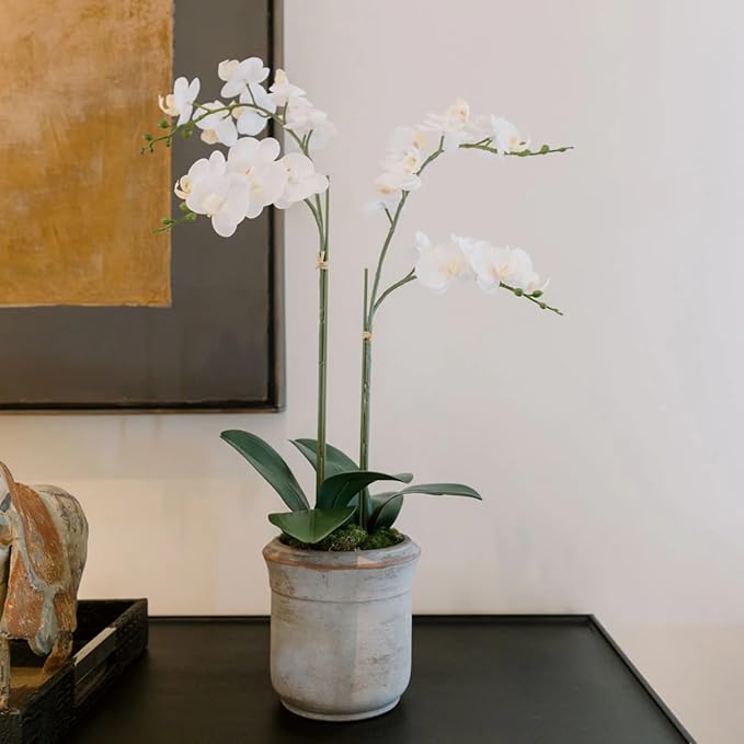 CG Hunter Faux Phale White Orchid Plant, Premium Artificial Indoor Flower Display Stands 24”, Beautiful Sculptural Blooms That Lasts Forever, Grey Planter Pot Included