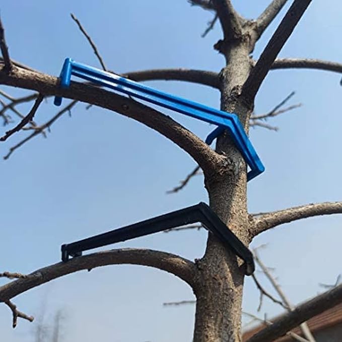 Cunguv Tree Spreaders Fruit Tree Limb Spreader 30Pieces Apple Tree Branch Spreaders to Nudge Limbs for Most Fruit Trees,Blue and Black