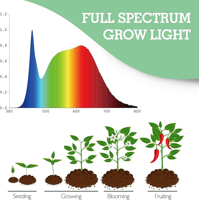 Soliseed LED Clip on Grow Light 10W Full Spectrum 4000K, Small Plant Light with Timer, 10 Dimming Levels, Cactus Grow Lights, Inside Spotlight with Flexible Gooseneck Plant Lights, 2pack
