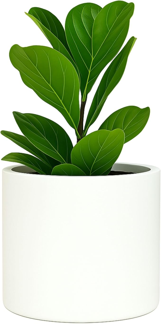 Fox & Fern 8 Inch Plant Pot with Drainage Plug — Premium Lightweight Fiberstone Matte White Planter - Indoor & Outdoor Planter - 8 Inch Pots for Plants - Weather Resistant & UV Resistant