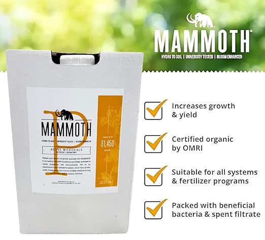 Mammoth P Bloom Booster & Enhancer - Plant Nutrients for Increased Growth & Yield (5-Gallon)