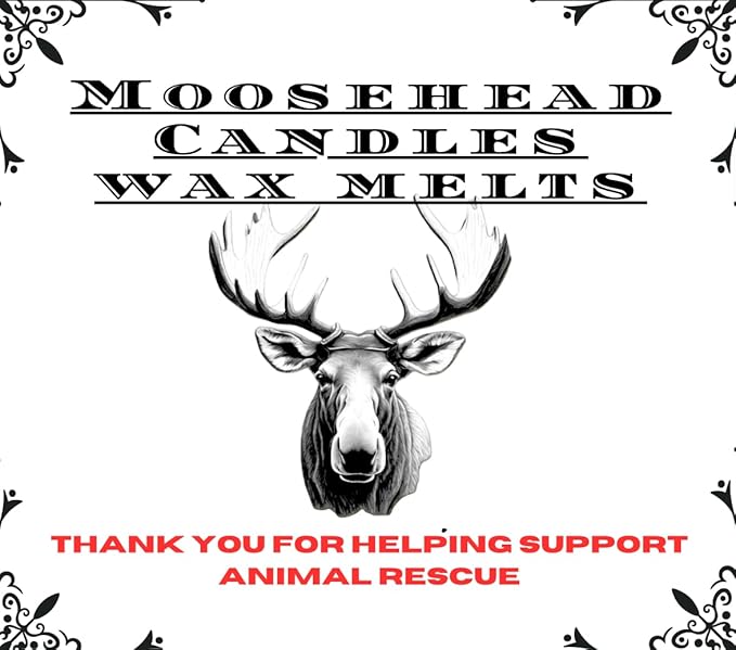 Moosehead candles Iced Vanilla Woods Wax Melts – 4 Pack Soy Wax Melts for Warmers | Vanilla, Cedarwood & Sandalwood Blend | Long Lasting Fragrance | Pet Safe & Handmade in US