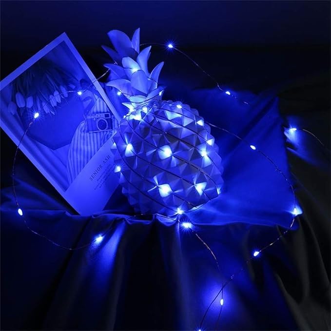 with Timer Function Battery Operated Dewdrop Led Lights,Mini Fairy Lights for Home Parties Christmas/Halloween Holiday Decoration,6 Hours on/18 Hours Off,30 LEDs,10 Feet (Blue, 1)
