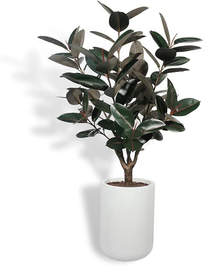 CG Hunter Faux Rubber Ficus Tree, Premium Artificial Indoor Plant Stands 5’ Tall, Lifelike-Leaves and Hand Painted Trunk Create Realistic Faux-Ficus Tree Appearance, Planter Pot Included