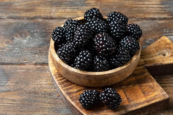 200+ BlackBerry Seeds for Planting - Non-GMO, Organic & Thornless | Heirloom Variety, High Yield | Sweet, Juicy & Nutritious Healthy Fruit | Ideal for Outdoor Gardens, Home Gardens & Farms