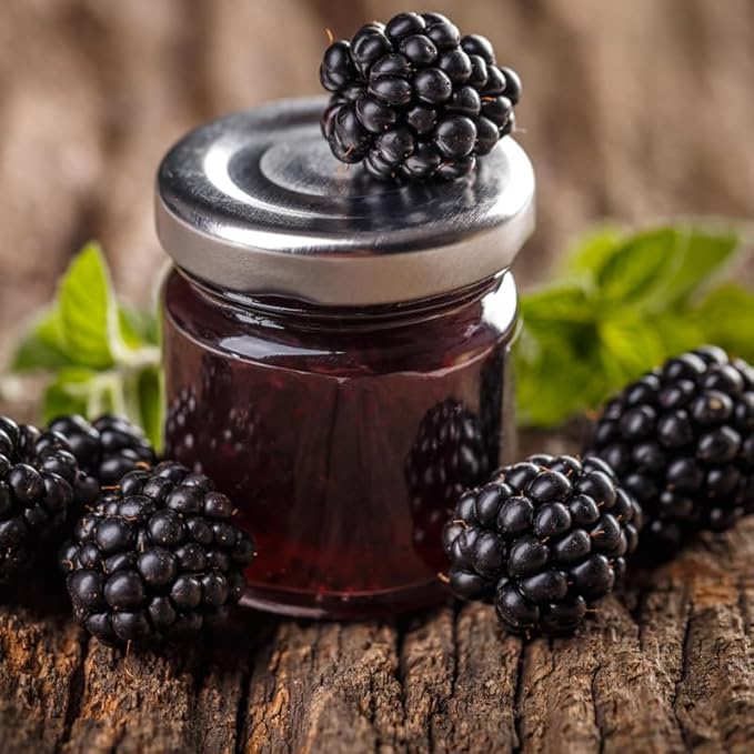 BlackBerry Thorny Plants Kiowa (4 Pack) Live for Sale | Easy to Grow Plants | Edible Fruit Plant for Sustainable Living | Grow Your own Food on Your Organic Garden | Live for Planting |