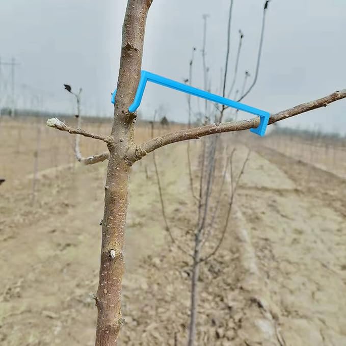 Branch Limb Spreaders for Fruit Trees Apple Tree Limb Spreader to Support New Branches Plastic Black 15 Pieces and Blue 15 Pieces