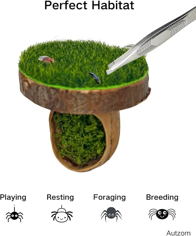 Jumping Spider Enclosure Accessories, Pumpkin Decor Hideout and Platform, Habitat Hide House for Spiders - Small Pets Furniture