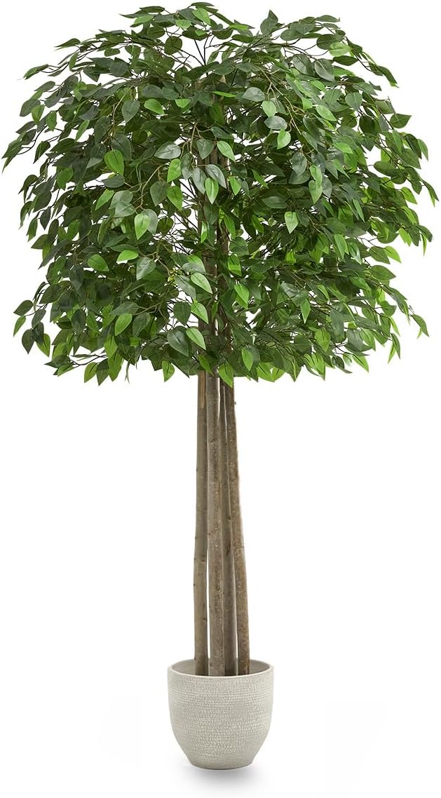 Maia Shop Decorative Artificial Plants - Artificial Bamboo Tree 6.5ft Natural Trunks, Big Artificial Plant, Home Decor, Artificial Tree (Ficus, 6ft 5in)