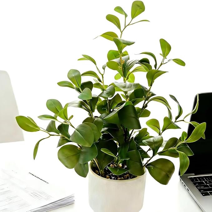 Ewtogift 19'' Artificial Ficus Plant in White Textured Ceramic Pot Realistic Faux Greenery with Lifelike Leaves Fake Plants for Indoor Home Office Bathroom Shelf Desk Tabletop Decor