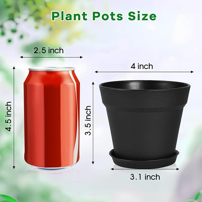 June Fox 60 Pack Small Plant Pots Indoor 4 Inch Plastic Planter with Drainage Holes and Saucers Premium Black Pots for Plants Bulk for Succulent, African Violets, Flowers, Seed Starting