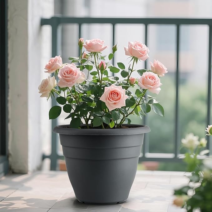 RooTrimmer 12 Inch Plant Pots, Large Planters for Outdoor Plants, Plastic Flower Pots - Durable and Lightweight with Drainage Holes (3 Packs, Gray)