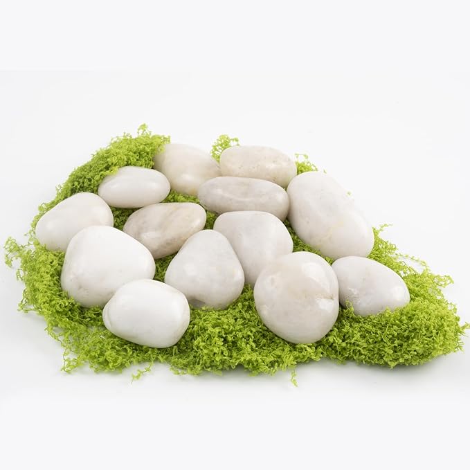 LOOIOOJ 10lbs River Rocks - 1-2 Inch Natural White Decorative Rocks for Potted Plants, River Rocks for Aquariums, and Landscaping (Weight : 10 LB, White)