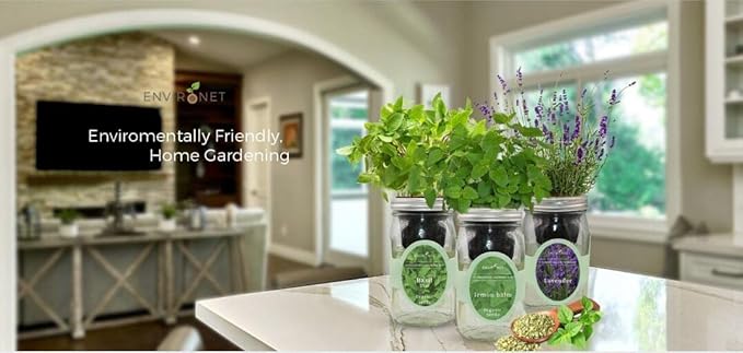 Environet Hydroponic Herb Growing Kit Set, Self-Watering Mason Jar Herb Garden Starter Kit Indoor, Windowsill Herbs Garden, Grow Your Own Herbs from Organic Seeds (Basil, Dill, Chives)