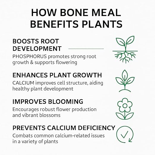 𝐁𝐄𝐒𝐓𝐒𝐄𝐋𝐋𝐄𝐑 Organic Bone Meal Fertilizer by Gardenera (4-12-0 NPK) All-Natural Plant Food Source of Nitrogen and Phosphorus for Bulbs, Gardens, Potted Plants, Trees, and Shrubs - 4 QUARTS