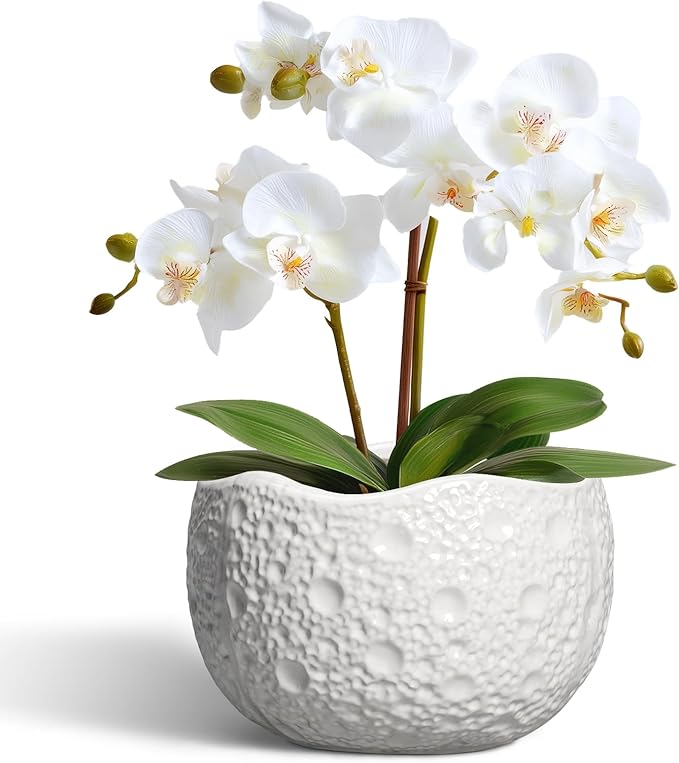 Thirtypot Ceramic Pots for Plants - 6 Inch Plant Pot for Indoor Outdoor, Decorative Orchid Pots with Drainage Hole, Unique Round Modern Planters, Home Decor, Gifts for Plant Lovers, White