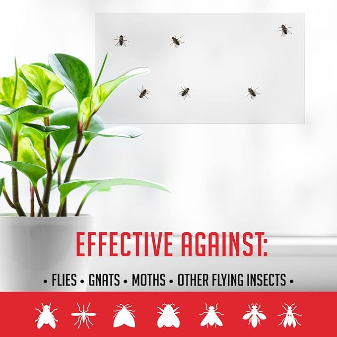 Window Fly Traps Indoor Clear (60 Pack) - Fly Window Traps for Indoors Sticky, Indoor Fly Trap Non-Toxic Fly Strips for Windows - Fly Sticky Traps Indoor Fly Paper Indoor Bug Sticky Traps (8.25" x 5")