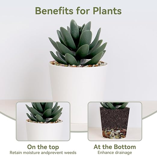 Pulovin 2.5 lbs Pebbles for Indoor Plants, Succulent Rocks, 3/8" Polished Pebbles for Bamboo, Vase, Terrarium, Natural Decorative Small River Rocks for Crafts, Cactus, Outdoor Garden Landscaping