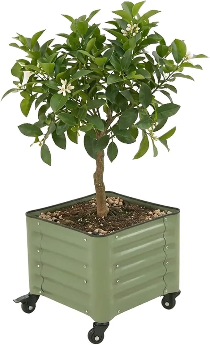 Vego garden Classic Rolling Citrus Tree Planter – 1.75' Mobile Metal Raised Garden Bed for Patio, Deck, Balcony – Deep Planting Space, Durable & Easy to Move (Olive Green, 1.75'X1.75')