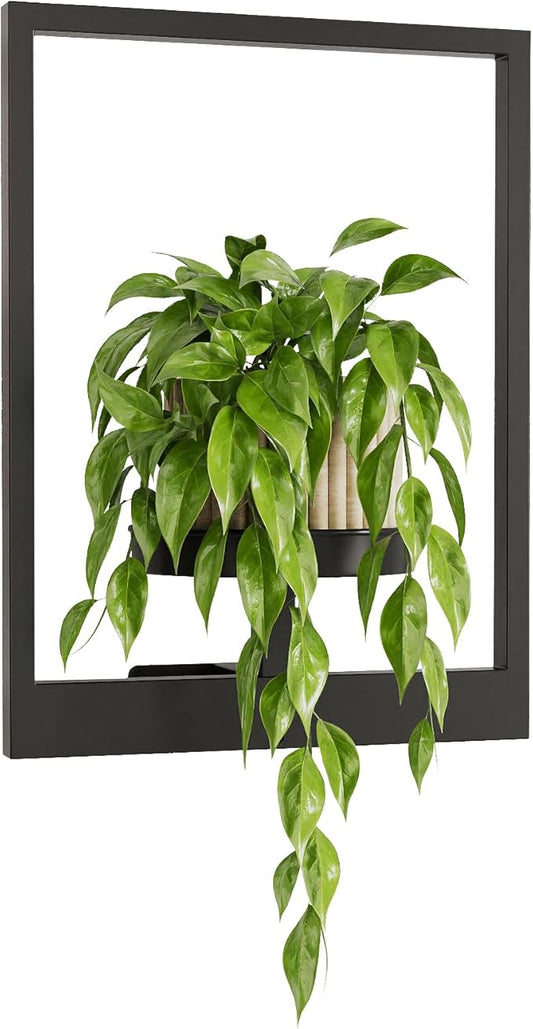 Bamworld Plant Stand Indoor Wall Decor Metal Plant Hanger Indoor Hanging Plant Holder Wall-Mounted Planters Outdoor Plant Rack Black 1 Pack (Patent Design)
