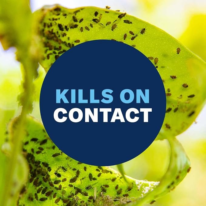 BioAdvanced Houseplant Insect & Mite Control, Ready-to-Use Fungul Disease & Fungus Gnats Killer, 24 oz