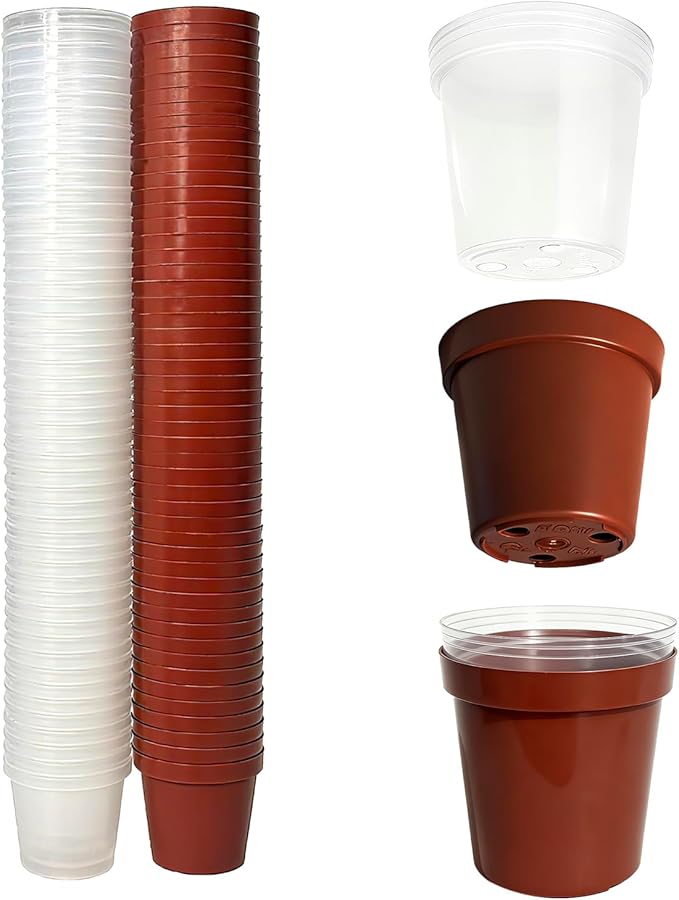 Gyfofix 2 Inch Round Nursery Seedling Pots (Red+Clear),100 Pack Mini Plastic Seedling Planter,Sturdy Small Plastic Pots with Drainage Holes for Seed Starting, Succulents, Indoor Outdoor Gardening