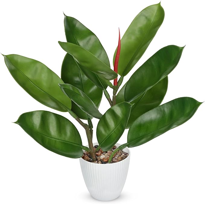 GnFlus Fake Plant Artificial Rubber Tree in White Pot Decor for Farmhouse Home, Office, Kitchen, Counter Top, Indoor Decoration