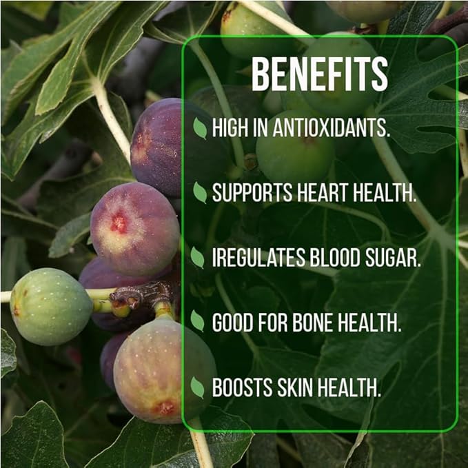 Fig Tree Collection (4 Pack) Edible Fruit Plant from Our Optimal Picks | Easy to Grow Plants for Sustainable Living | Grow Your own Food on Your Edible Organic Garden | Live for Planting | No Seeds