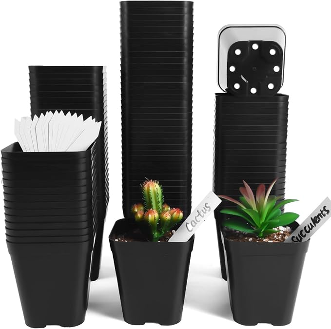 June Fox Small Seedling Pots 4 Inch, 100 Pcs Square Plant Pots Bulk, Plastic Nursery Pots with Drain Holes for Seedlings, Succulents, Cuttings (Black)