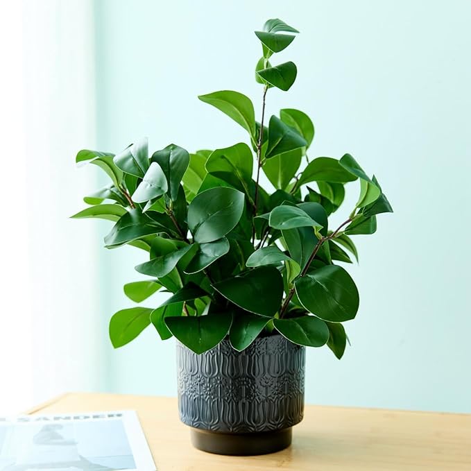 Ewtogift 19" Artificial Ficus Plant in Textured Black Ceramic Planter Tall Faux Plant with Deep Green Leaves for Modern Home Office Shelf Bathroom Tabletop Indoor Decor