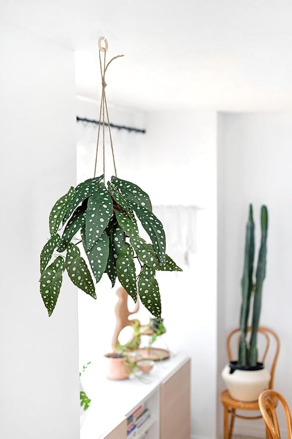 Fake Hanging Plant in Black Pot Artificial Syngonium Podophyllum Plant Faux Greenery Leaves for Wall Bedroom Office Desk Bathroom Indoor Outdoor Home Deco