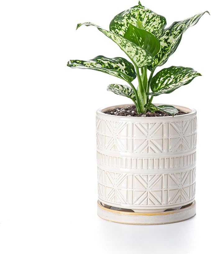 POITONRU Ceramic Plant Pots Indoor-Outdoor: 6 Inch Embossed Planters with Drainage Hole & Saucer - Modern Decorative Flower Pots for Home Garden Patio Office Decor
