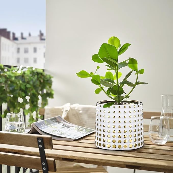 Ceramic Plant Pots Indoor, 5.7 Inch Planters for Indoor Plants Gold Polka Dots Flower Pots with Drainage Hole, Cylinder Round Planters, Gold and White