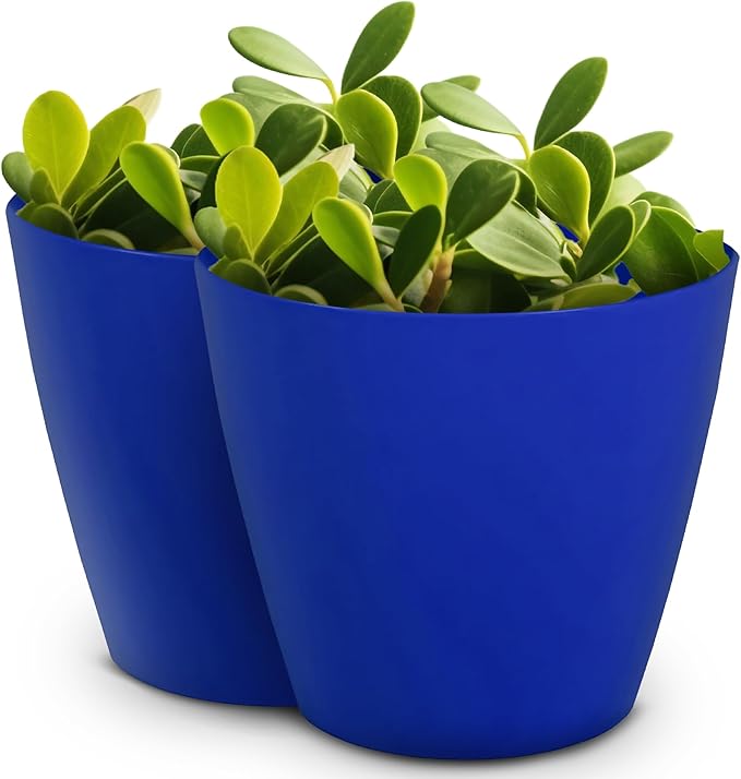 Headwind Charlevoix Planters– 8" 2 Pack Plastic Plant Pot in Sapphire Blue, Indoor & Outdoor Pots for Plants with Drillable Drainage Hole, Decorative Plant Pot, Flower Pots Outdoor for Garden