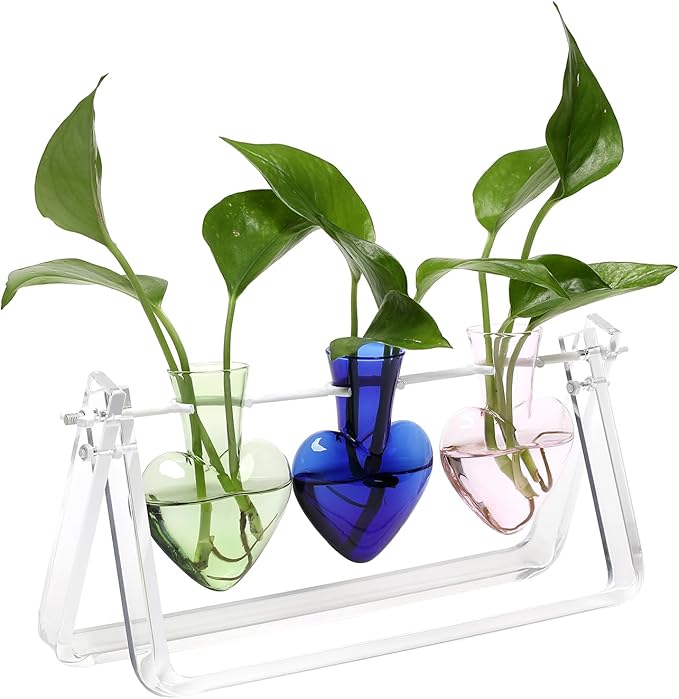 CYZglass Clear Plant Terrarium Propagation Stations with Acrylic Stand Birthday Gifts for Women Office Home Decor