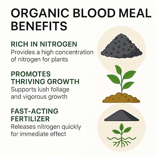 𝐁𝐄𝐒𝐓𝐒𝐄𝐋𝐋𝐄𝐑 Organic Blood Meal Fertilizer by Gardenera - 12-0-0 NPK - All-Natural Plant Food Source of Nitrogen for Organic Gardening, Flowers, Vegetables, Trees & Shrubs - 3 QUARTS