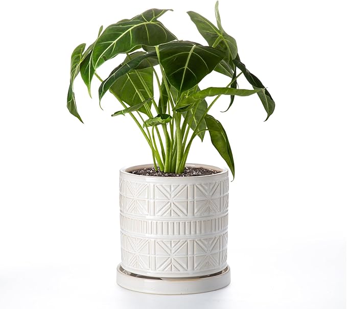POITONRU Ceramic Plant Pots Indoor-Outdoor: 8 Inch Embossed Planters with Drainage Hole & Saucer - Modern Decorative Flower Pots for Home Garden Patio Office Decor
