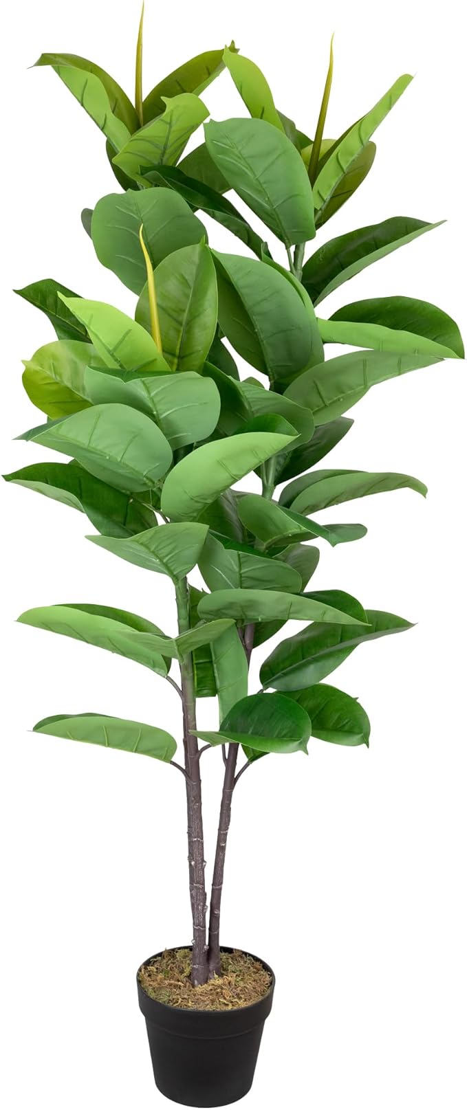 Northlight 51" Artificial Green and Brown Potted Rubber Plant