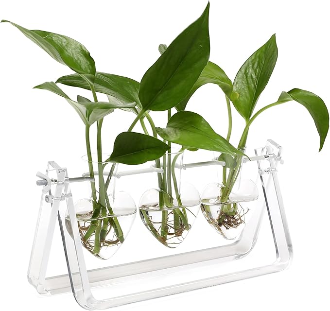 CYZglass Clear Plant Terrarium Propagation Stations with Acrylic Stand Birthday Gifts for Women Office Home Decor