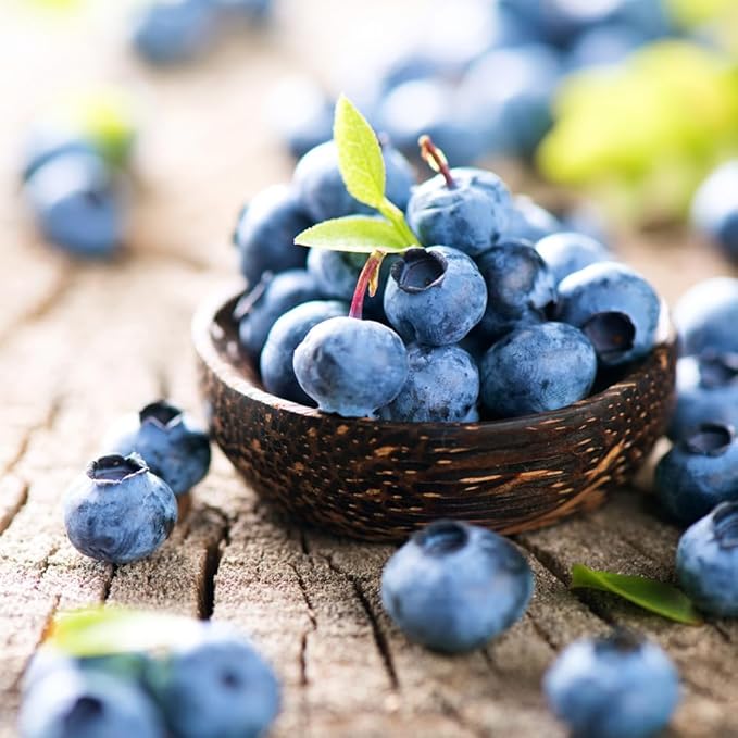 200+ Blueberries Seeds Organic-Blueberry Seeds Non GMO Fruit Tree Berry Seed-Blue Berries Seed Heirloom for Planting Outdoors