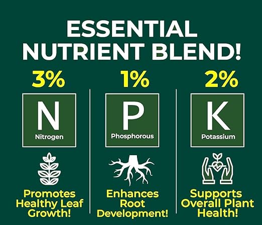 Gardenera Proffesional ANTHURIUM Spray Fertilizer Mist for Home Gardening | 3-1-2 Gentle Blend Mist for Healthy Leaves & Growth | Essential Nutrients for ANTHRIUM - 8oz