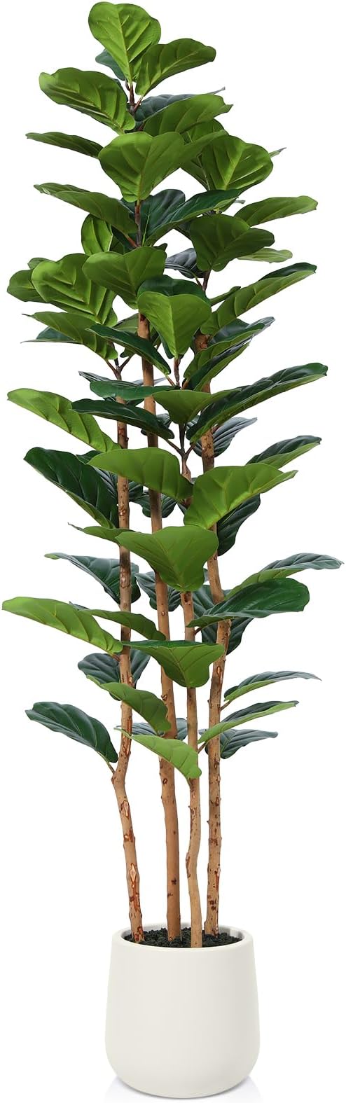 OAKRED Artificial Fiddle Leaf Fig Tree with White Planter, 6ft Tall Fake Tree with Natural Wood Trunk for Home Decor, Faux Ficus Tree Fake Moss for Indoor Office Living Room