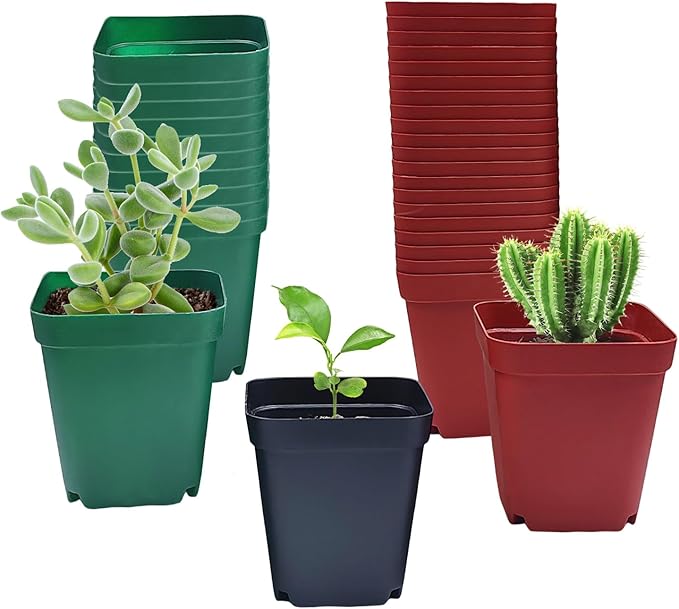 RooTrimmer Square Plastic Nursery Pot 3" 120 Pcs Deep Succulent Pots Small Flower Planter Seeds Starter Pots with Drainage (Green,Black,Red 40pcs Each,2.7Inches)