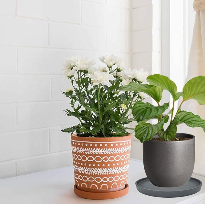 Ceramic Plant Saucer Pot Tray 10 Inch, Planter Saucers 4 5 6 7 8 9 10 11 12 13 Inch for Indoors Outdoor, Durable Sturdy Flower Drainage drip Water Tray for Glazed Pots Base (10.7 Inch-Grey)